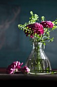 Purple chrysanthemums in glass vase