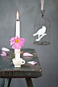 Cosmos flower tied to white candle in small dolls' teacup on rustic wooden stool