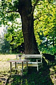 Rustikaler Tisch und Sitzbank am Baum, in sommerlicher Stimmung
