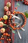 Small wreath of rosehips, chokeberries and apples
