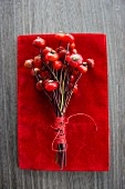 Bunch of rosehips on red cloth