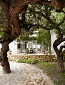 Garden path leading between gnarled trees with view of furnished terrace of country house