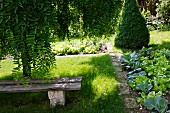 Garten mit Bank in der Wiese und schmalen Steinpfaden entlang von Beeten mit Salat und Kohlrabi