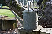 Old watering can on tree stump in garden