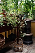 Basket and iron stove on wooden floor, potted plants on antique side table