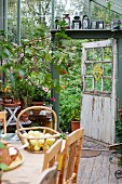 Basket of apples on table in greenhouse with collection of lanterns above open door leading to garden