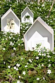 Floral postcards in house-shaped display cases amongst carpet of flowering wood anemones