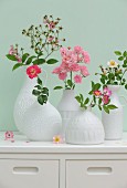 Various types of wild roses in white china vases