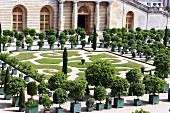 A view of the Orangerie (Palace of Versailles)