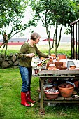Woman gardening - various terracotta pots on wooden table with shelf in garden