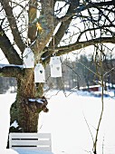 Bird nesting boxes hanging in tree in snowy garden