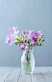 Purple freesias in glass vase