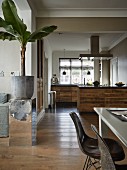 View from dining area with Eames chairs into open-plan kitchen with blackened oak cabinets; banana tree on mirrored plinth in foreground