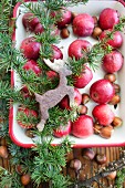 Red apples and reindeer-shaped biscuit in baking dish (at Christmas)