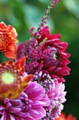 Bouquet of red and pink dahlias