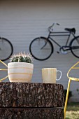 Yellow-striped mug and cactus in planter on tree stump table in front of bicycles hanging on wall