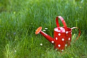 A watering can on grass