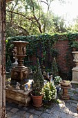 Antique fountain and planters in rustic courtyard with climber-covered brick wall in background