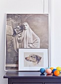 Picture of dog in front of black and white, artistic portrait of woman behind colourful balls on top of cabinet