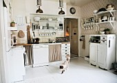 Country-house kitchen with white fitted cabinets; cat walking across white wooden floor