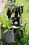 Garden decoration - plants in zinc container on bed plate of vintage sewing machine