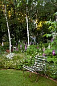 Flowering foxgloves in herbaceous border below birches behind antique garden armchair on well-tended lawn
