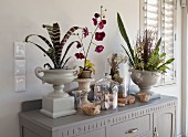 Vintage planters and glass covers over natural finds on top of cabinet painted pale grey
