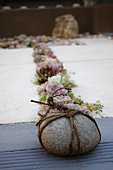 Pebble bound in cord in front of narrow bed of succulents