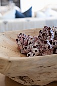 Seashells in rustic wooden dish