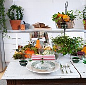 Autumnal arrangement of ornamental squash, cake stand and candles on table
