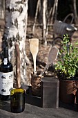 Cooking utensils in containers between wine bottles and pots of herbs on table in woods