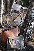 Two bags on fur blanket next to birch trunk in woods; basket on bicycle in background