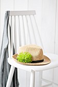 Summer hat with green chrysanthemum 'Anastasia' in hat band on white wooden chair