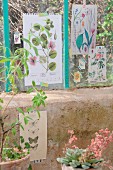Vintage prints of plants and butterflies decorating greenhouse windows and walls