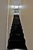 Narrow staircase with glossy black stairs