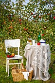 Summery atmosphere with set table in garden in front of apple trees