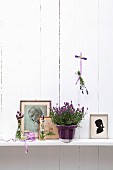 Potted lavender amongst drawings and silhouette on shelf