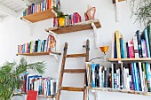 Bookshelves in white wall and wooden ladder