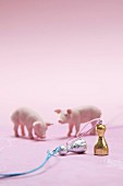 Selbstgemachte Glücksbringer mit vergoldeten und versilberten Spielfiguren, rosafarbene Glücksschweinchen im Hintergrund