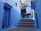 A man with a pack donkey in a blue alleyway in the Medina of Chefchaouen, Morocco