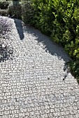 Paved garden path with pattern of numbers and letters