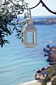 White lantern hung from tree and view of sea coast