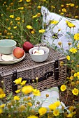 Yellow wild flowers, picnic basket, crockery and apples