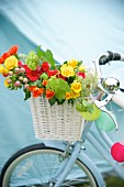 Summer bouquet in white basket hung on bicycle handlebars