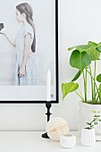 Sprig of ivy in small, white vase and house plant next to black-framed picture of girl