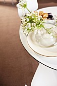 White umbels of flowers on stalks in glass vase on plates