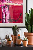 Modern artwork above collection of cacti on sideboard