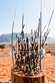'Dune Camp' in Wolwedans, NamibRand Privatreservat, Namibia, Afrika - Stachelschweinborsten im Glas als Dekoration
