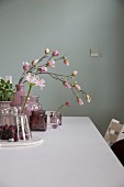 Magnolienzweig und rosa blühender Agapanthus in Vasen mit nostalgischem Flair auf weißem Tisch