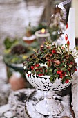 Plant with red berries in bowl on snowy table